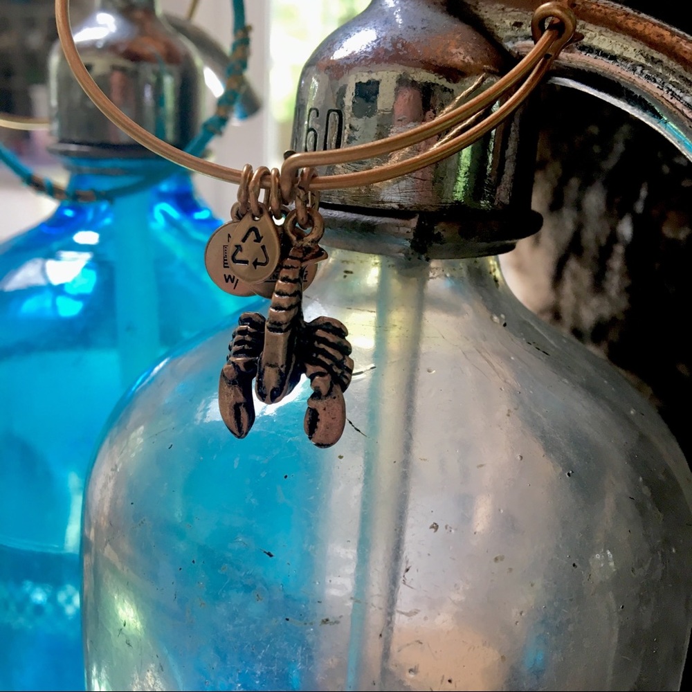 Alex and Ani Lobster gold bangle! NEW